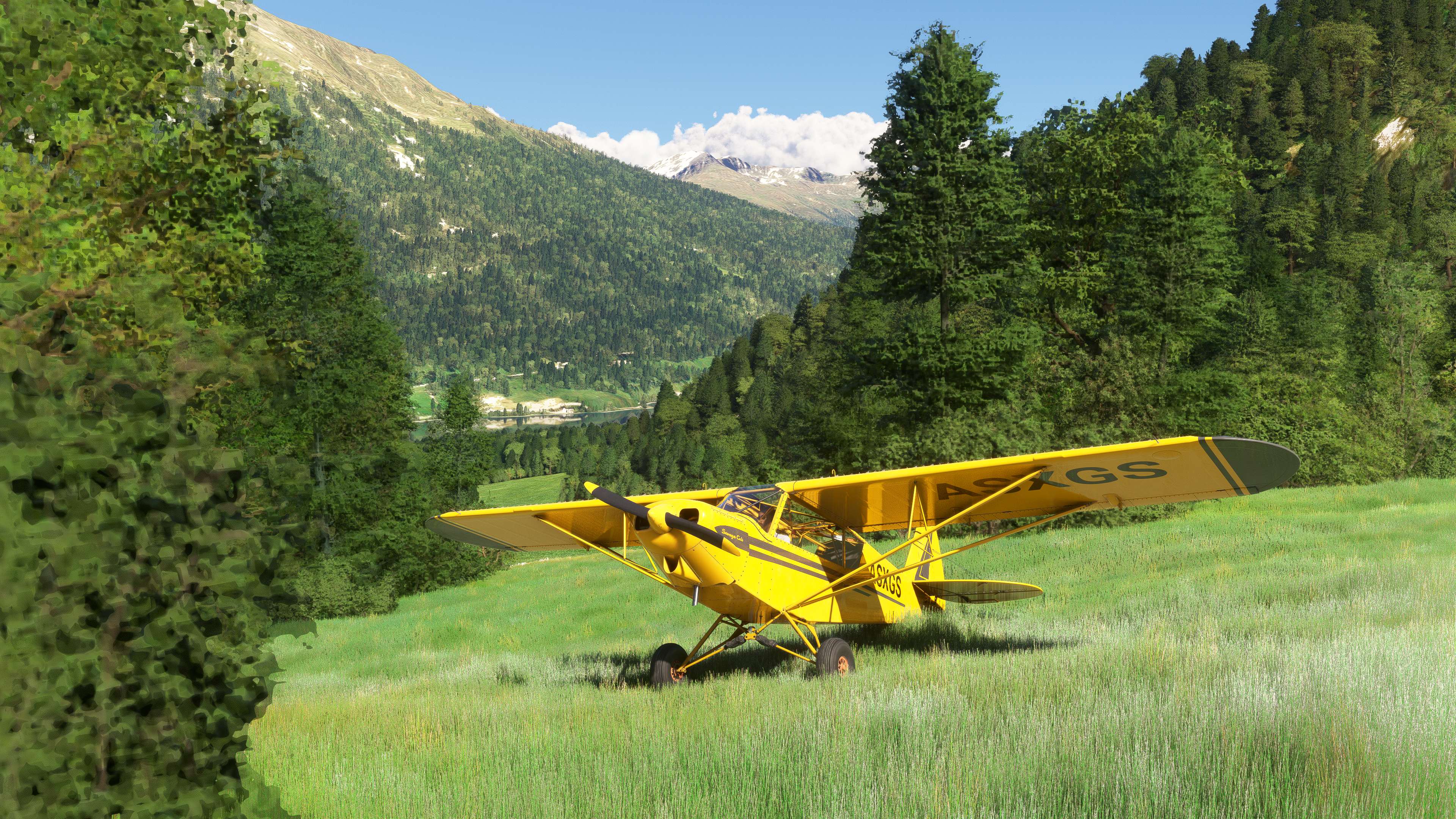 Microsoft Flight Simulator 2024 - Imagen 18